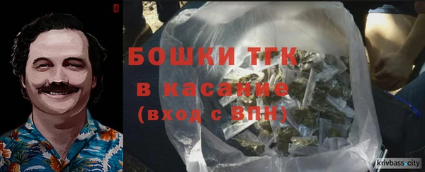 прущие грибы Гусев