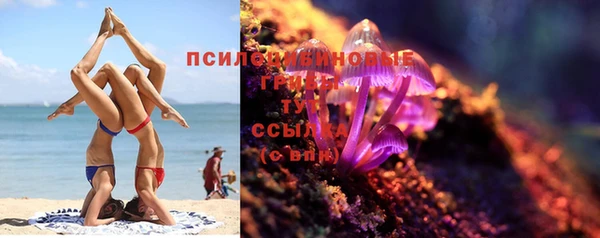 a pvp Гусиноозёрск