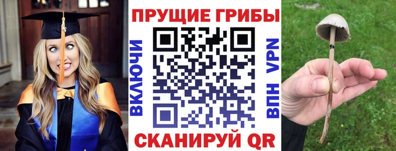 закладки  Солнечногорск  Галлюциногенные грибы мухоморы 